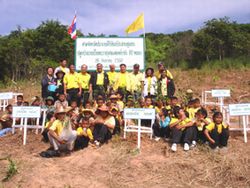 Forest planting at Nong-ta-taem Village Pranburi District