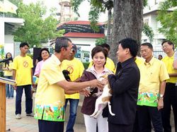 Hua Hin Dogs Day