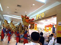 Dragon dance Chinese New Year