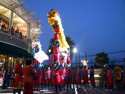 Dragon dance Chinese New Year