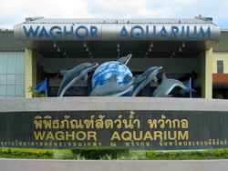 Waghor Aquarium